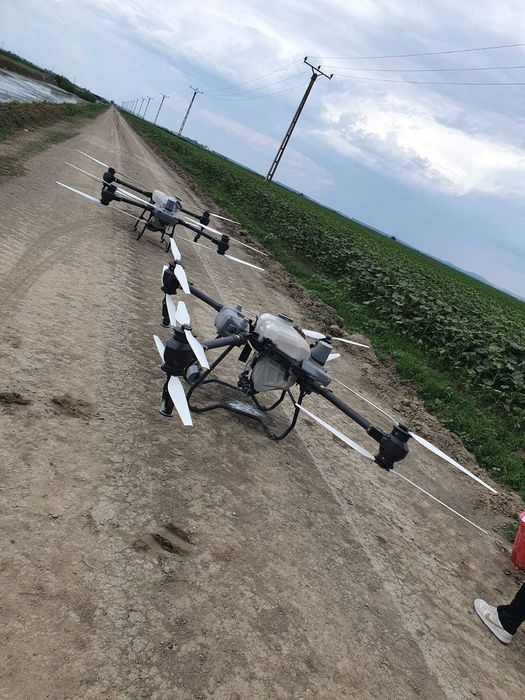 Prestari servicii cu drona agricola