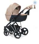 carucior 3 in 1