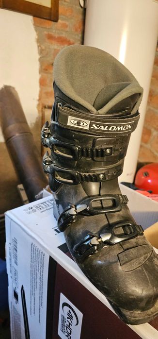 Clapari Solomon nr 43