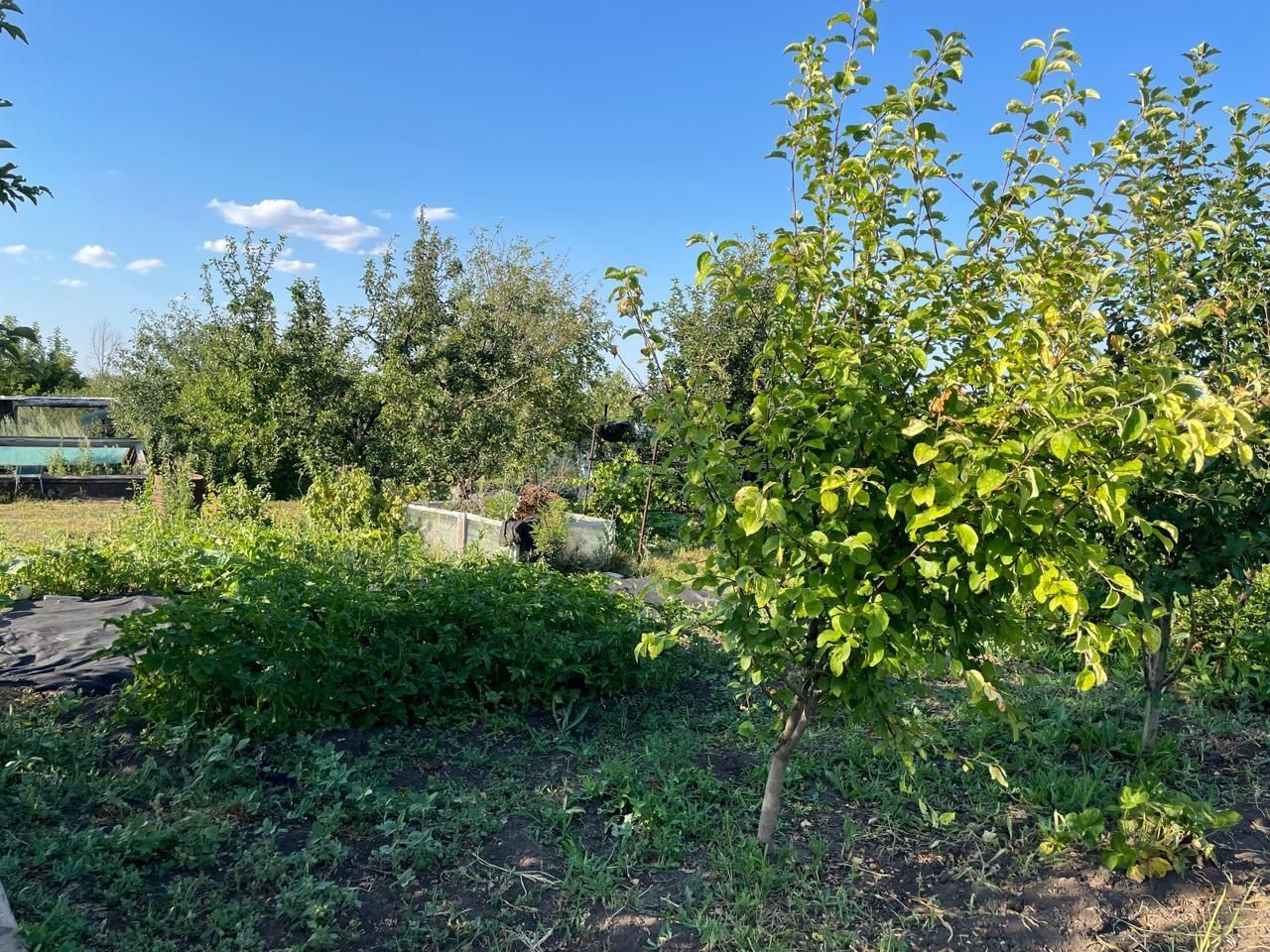 Продам Дачу, в районе 2ой дачной, маршрут 23 Б,