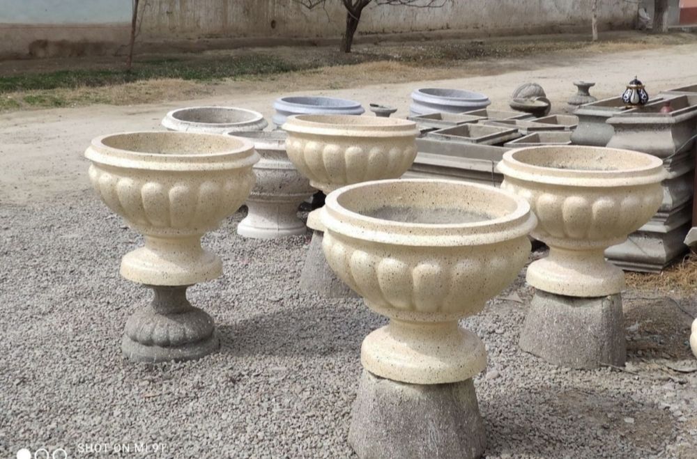 Бетонни гултувакла хархил турдаги кучат ва дарахт