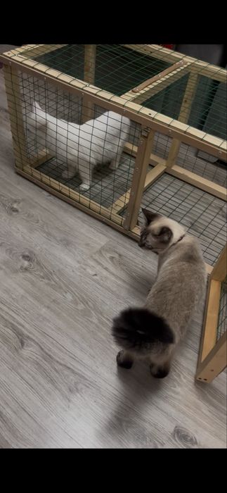 Продается клетка для кошек , птиц и мелких животных.