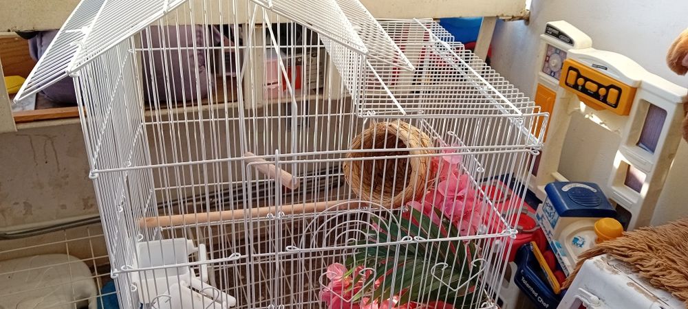 Клетка за птици малко използвана