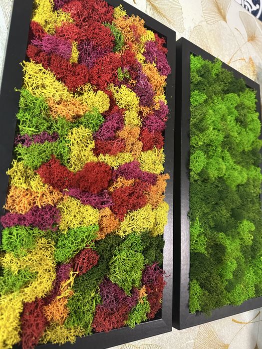 Картини със скандинавски мъх