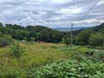 4 HECTARE Teren Baia Mare (Panoramic)