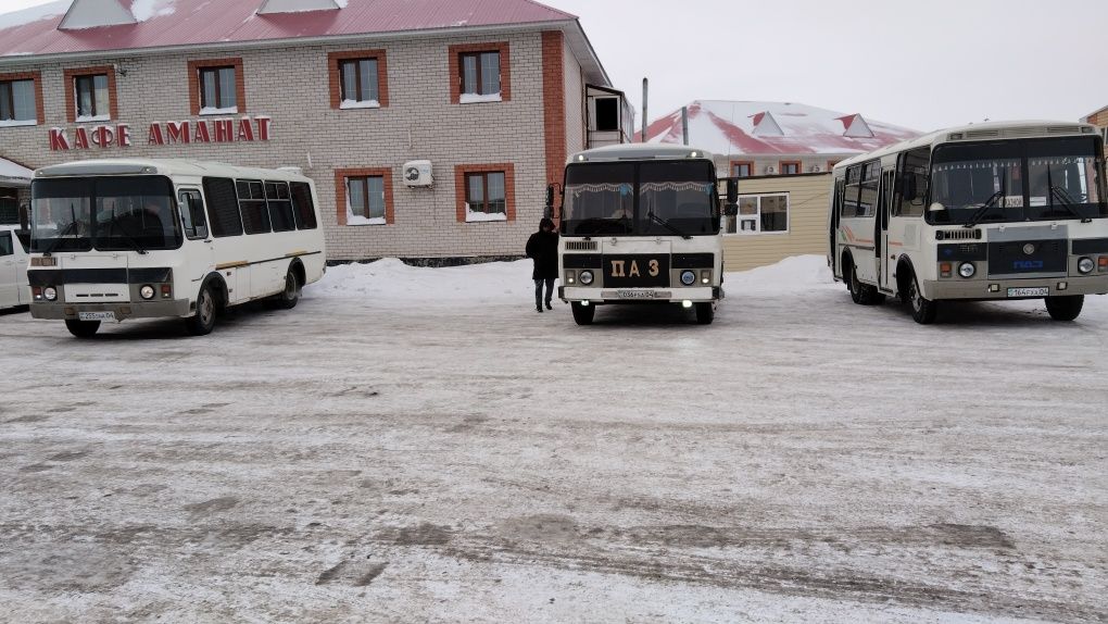 АРЕНДА, УСЛУГИ автобусов. ПАССАЖИРСКИЕ перевозки.