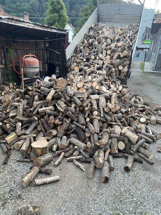 Vând lemn pentru foc