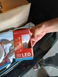 Led va lampochka