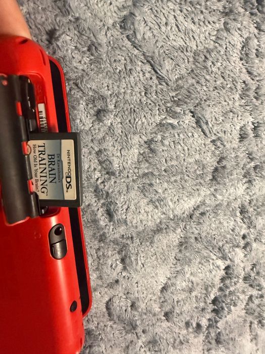 Nintendo 2ds pokemon