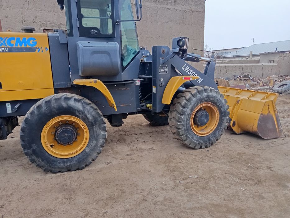 Soʻz holatda 2019 yil