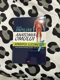 Anatomia omului- Victor Papilian vol1