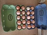 Ouă proaspete de țară de vânzare 1.20 lei bucata