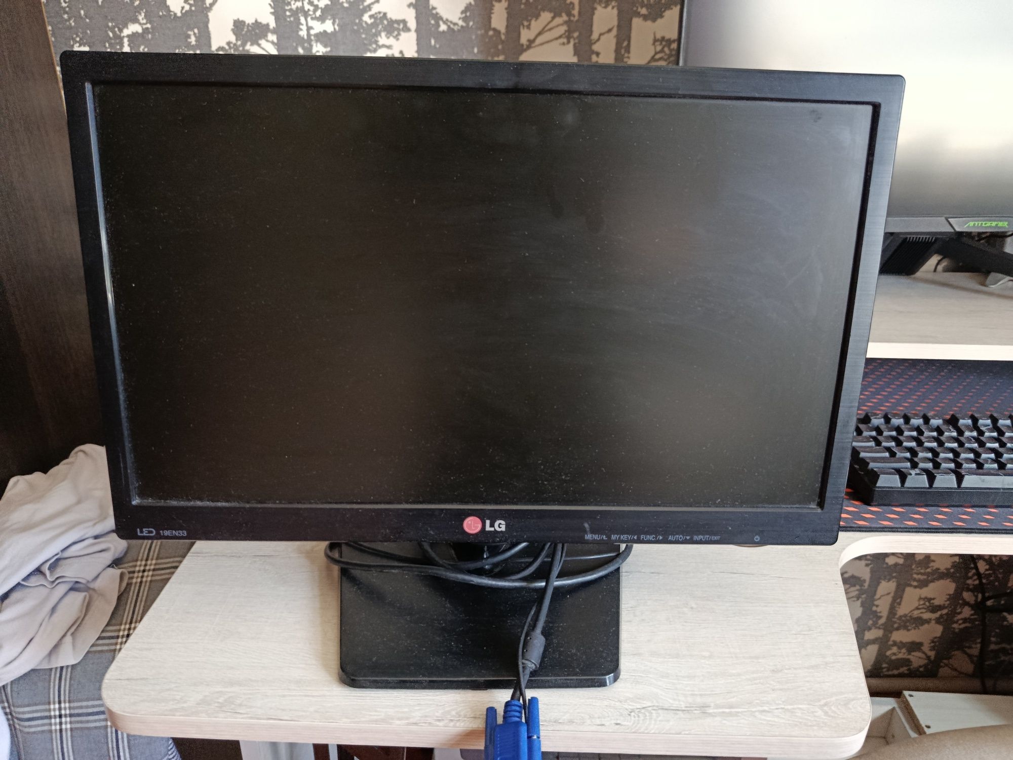 Монитор lg 19en33