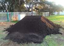 Pământ negru ( vegetal )