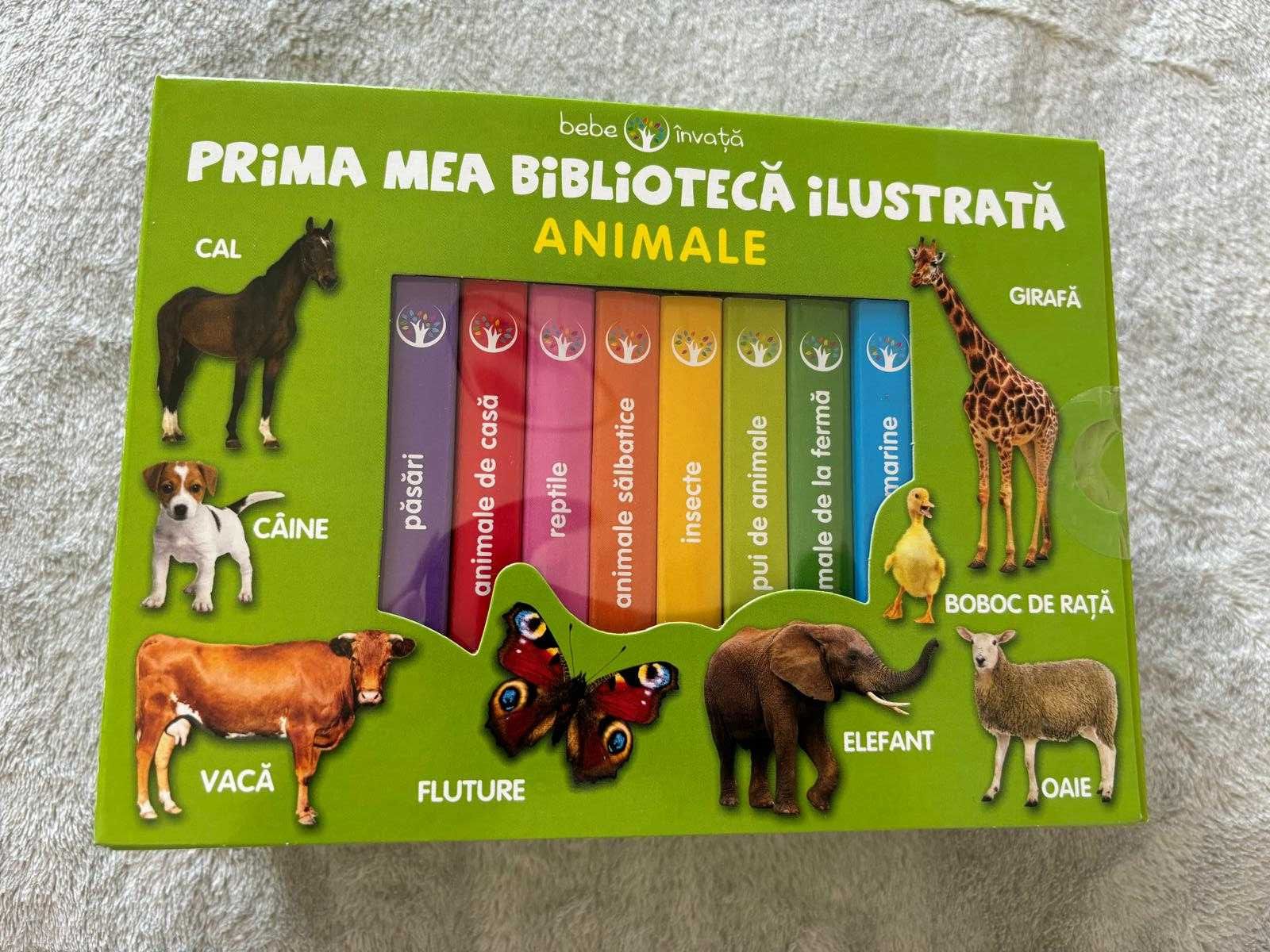 Prima mea biblioteca ilustrata animale bebe invata