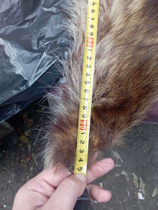 Яка от мечка 95 см