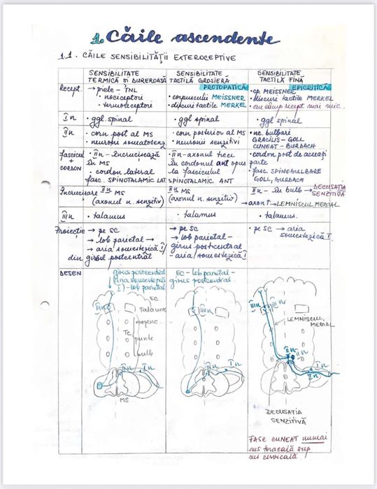 Notițe admitere medicină - biologie