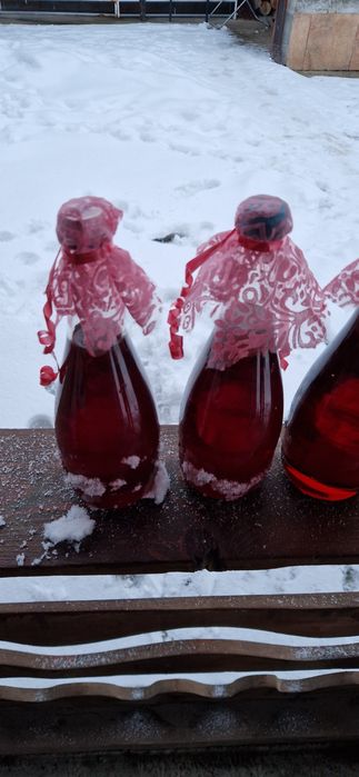 Sirop de brad cu molid si sirop de soc