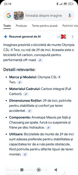 Olympia full carbon "29