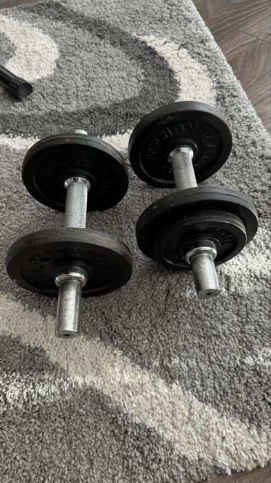 Gantere (12,5 kg total )