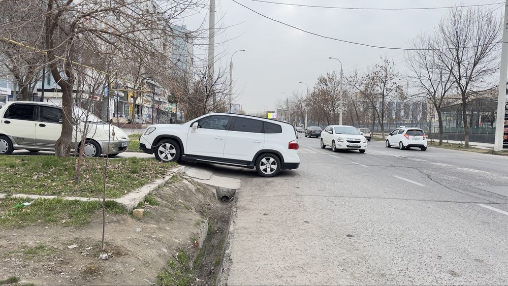 Орландо Orlando 2014 LUK