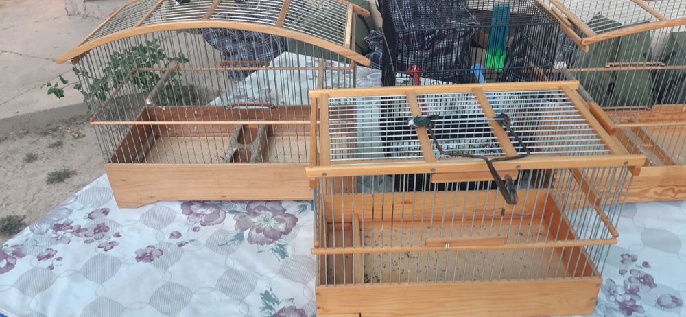 Кафаслар 4 дона зор ахволда