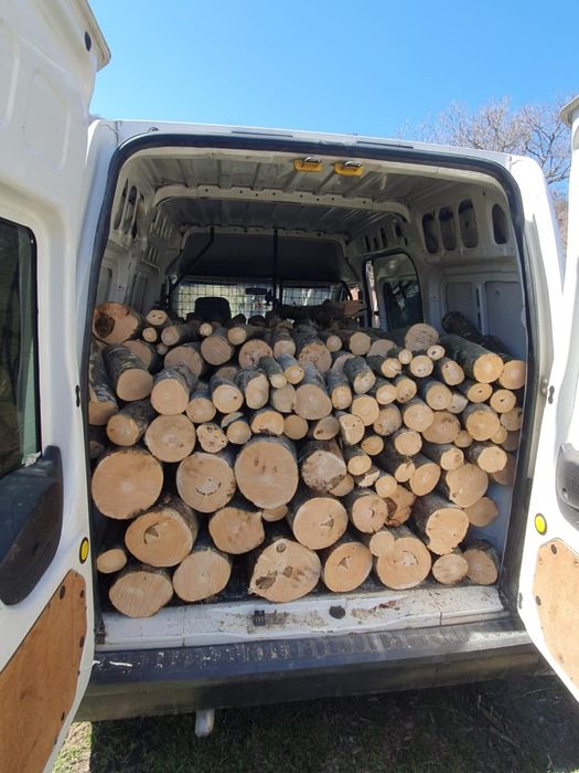 Vând lemne fag 800 lei duba