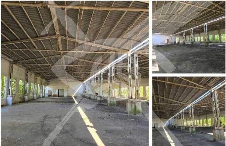 Завод с халета село Брезово 67362