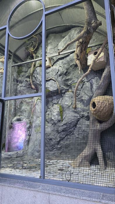 Вольер кафас декоративные 

#водопад 
#вольер
#искусственныйк