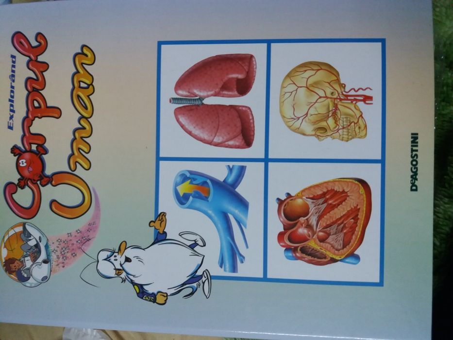 Corpul uman deagostini