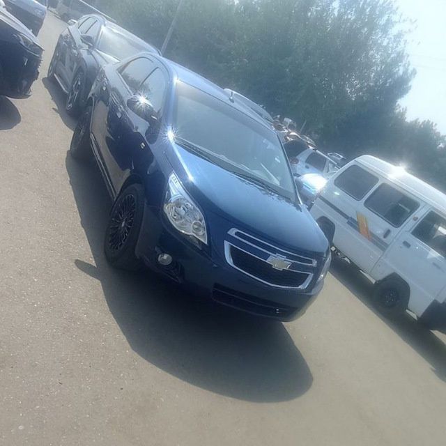 Srochno Kobilt sotiladi 2023 yil 37.000 probek