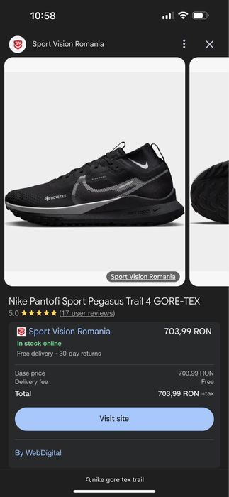 Nike Pegasus Trail 4 Gore-Tex