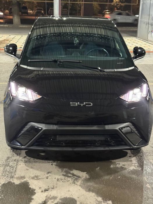 BYD seagull 405km full