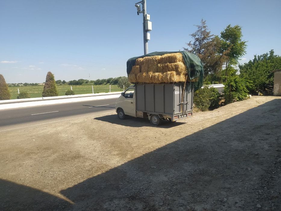 Labo Xitoy sotiladi 2007