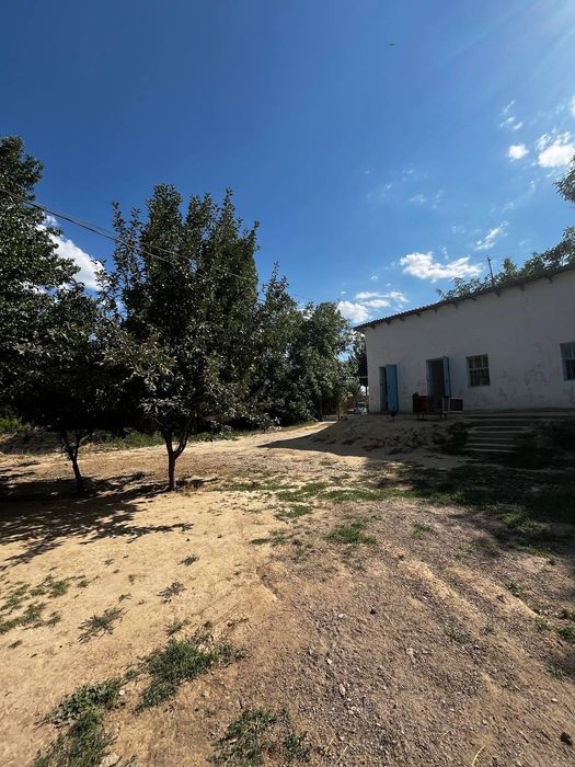 Xovli sotiladi 24 sotik zaxvat joylari bor