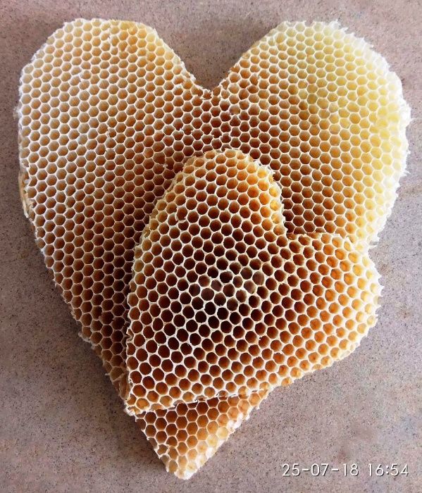 Мёд со своей пасеки | Разнотравье горный степной | Tog'li asal | Honey