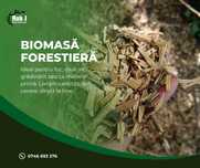 Vând biomasă forestieră (rumeguș)