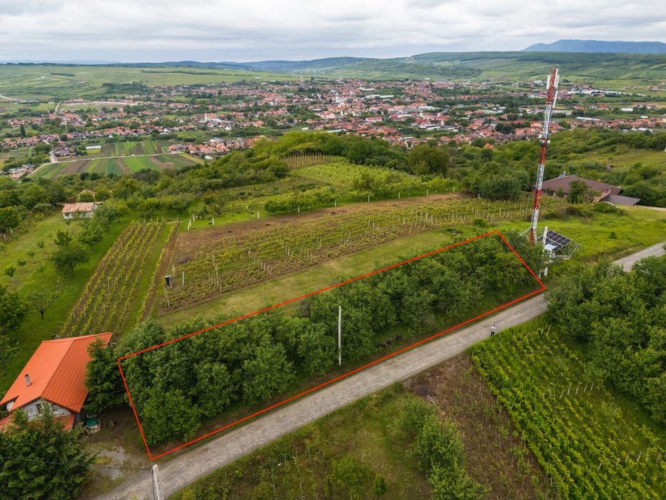 Teren extravilan Crasna