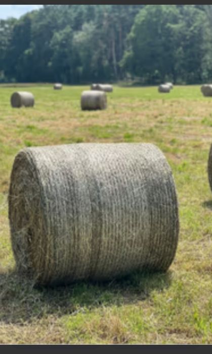 Baloti rotunzi de fan