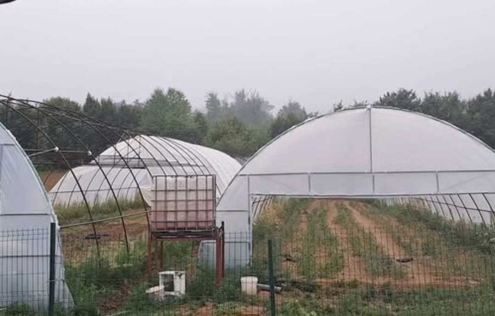 Solar grădină 1100 mp