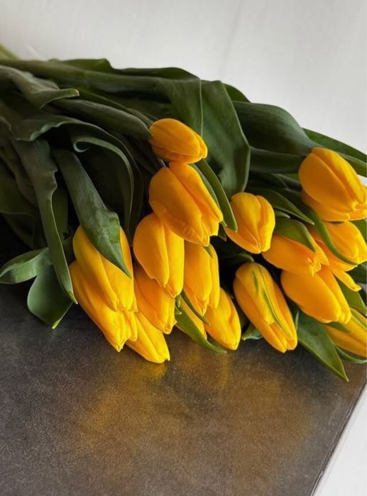 Ерлерге арналган