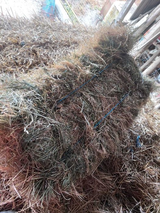 Vând baloti și lucerna