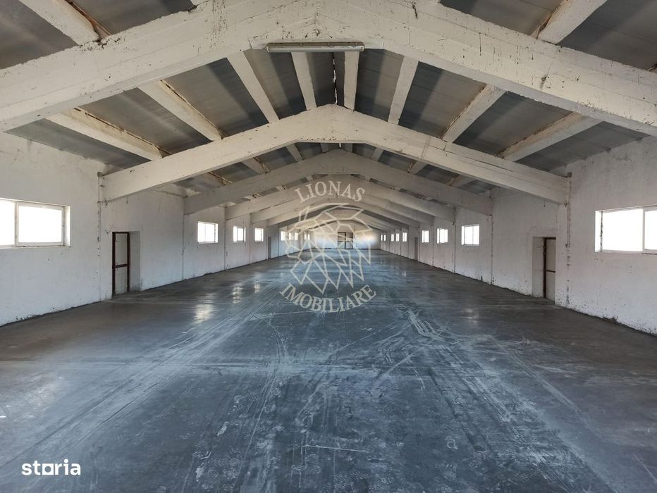 2 Hale 1000 mp si 900 mp-teren 3400 mp-oportunitate-Livezile