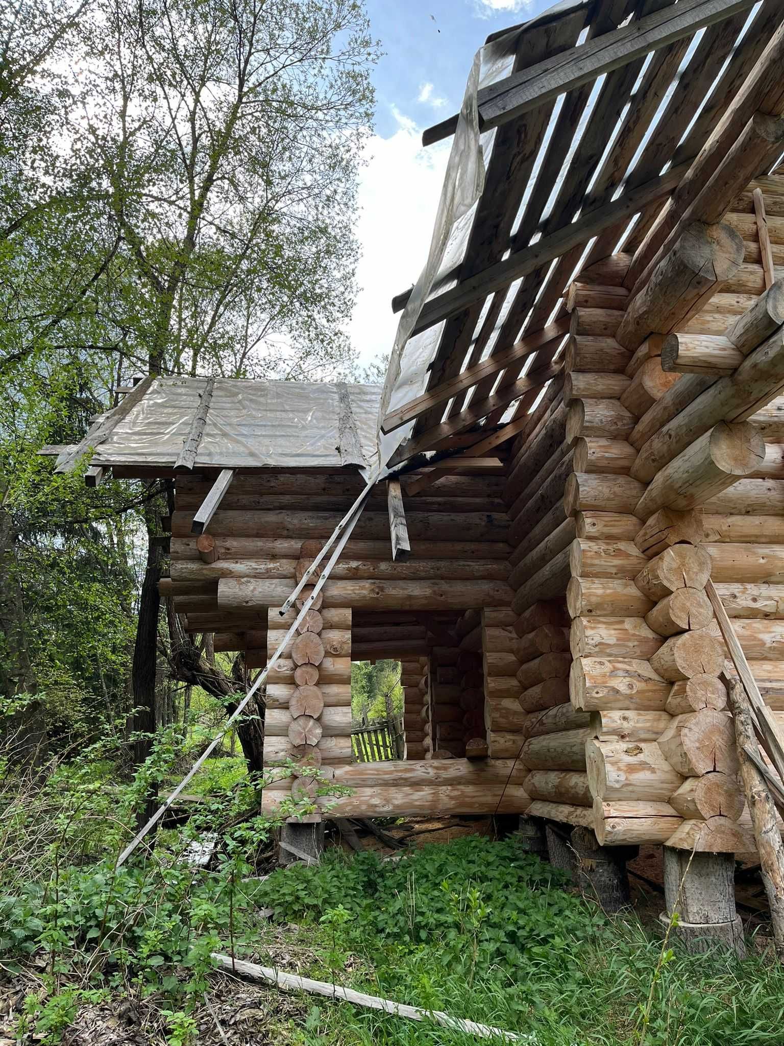 Casa lemn rotund