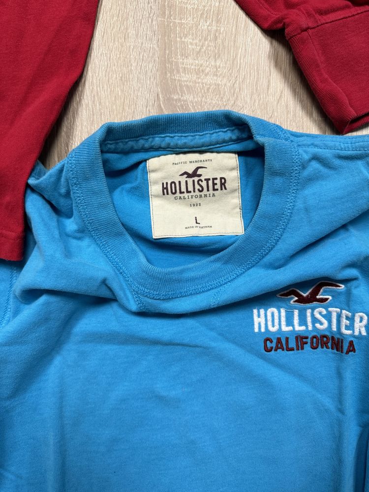 Bluze maneca lunga Hollister