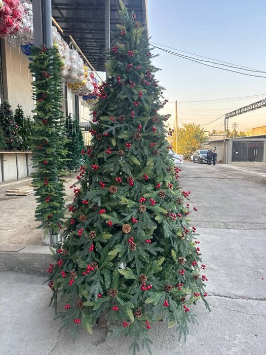 Арча янги-йил учун