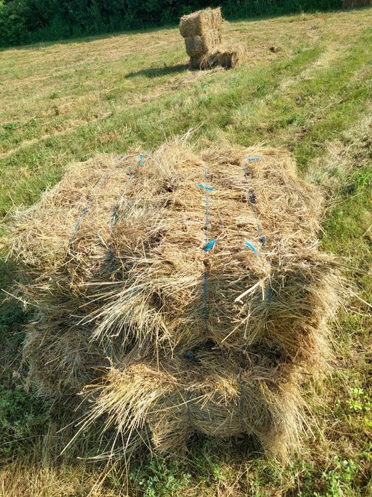 Vând baloti de fân