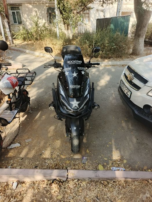 Wasat sport tiger scuter