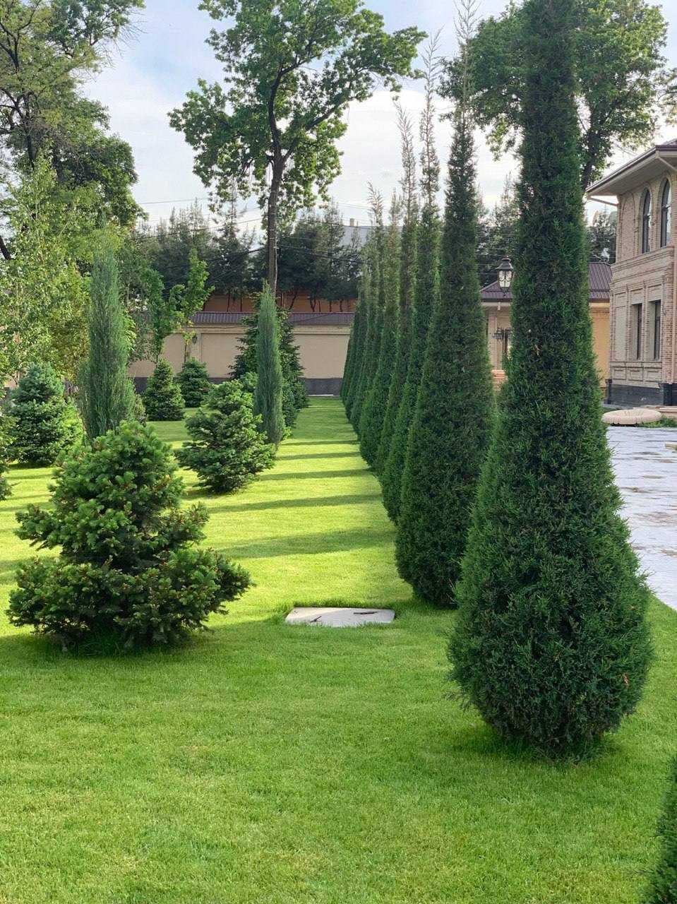 В аренду 26-ком особняк 1300 м² в Яккасарайском районе, ор-р Аския