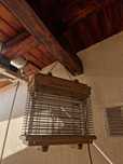 ornamente aripi bettle